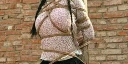 v2-1f0a8b3a1e2d3c3dc225afcbf22d72fd_1200x500